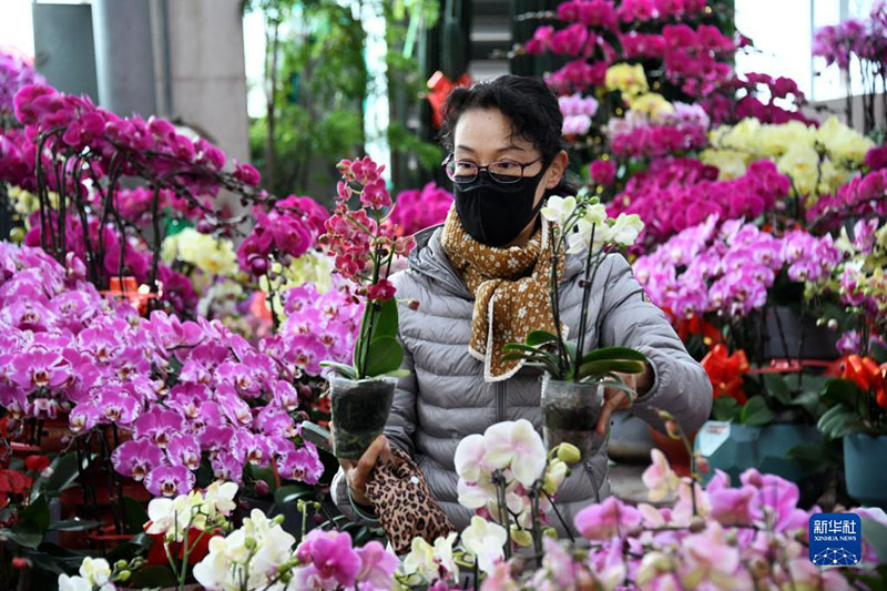 К?ктем мерекес? ?арса?ында Циндаоды? ж?з жылды? базарында сауда ?ызды