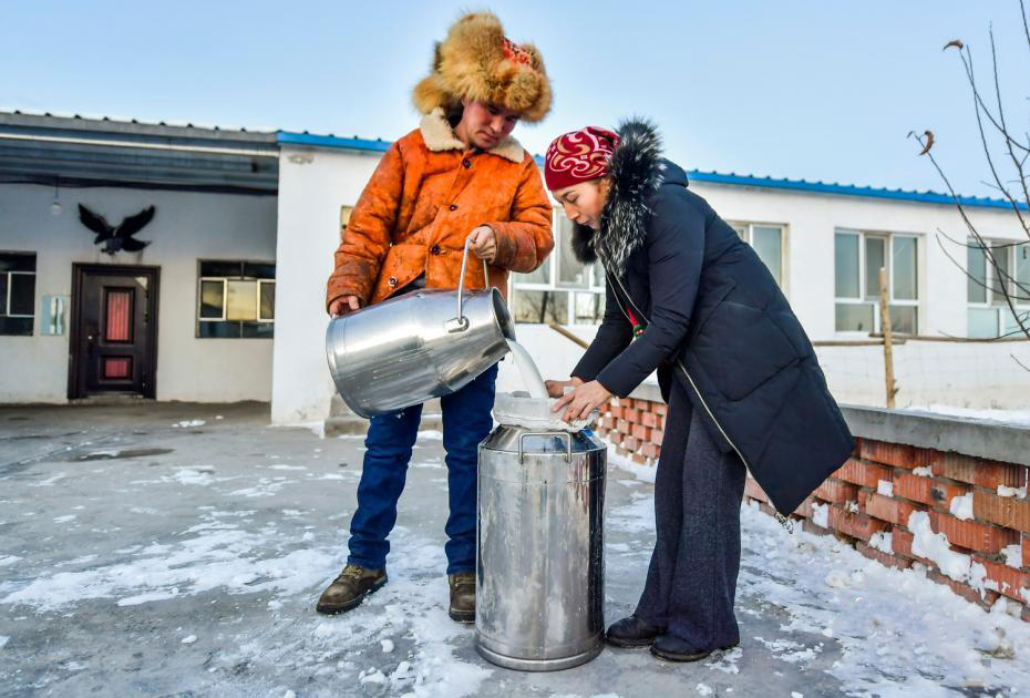 Шы?жа?ны? Бурылто?ай ауданы т?йе ?нерк?с?б?н?? ?ар?ынды дамуын ?олдап, малшылар к?р?с?н арттырды