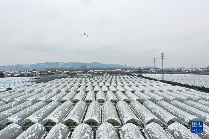 ?ар ?ымта?ан жер-ананы? к?р?н?с?