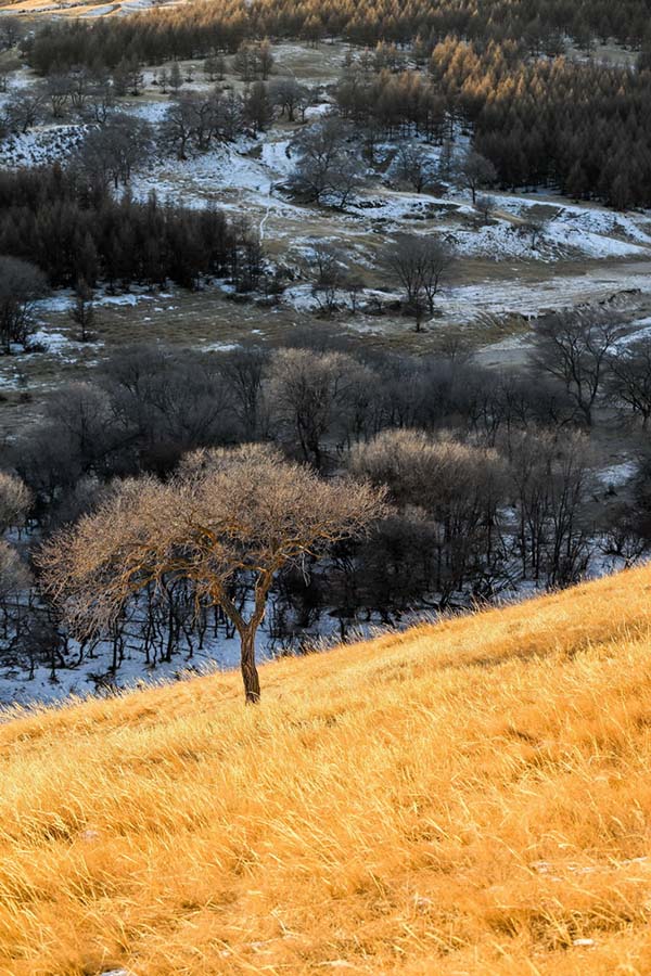 ?шк? Мо??ол: к?рк? к?з с?йс?нд?рет?н Луанхен алабы