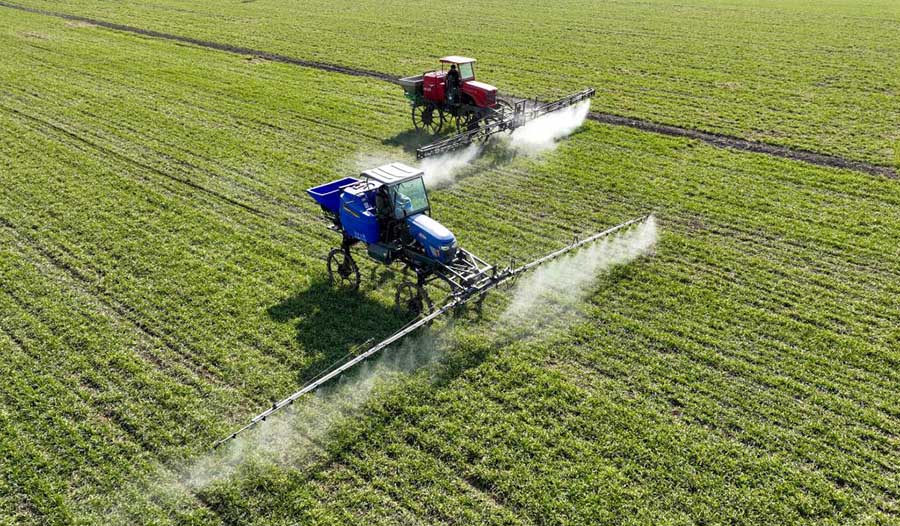 Бочжоу, Анхой: Ертемен ег?с ж?мысына к?р?скен фермерлер