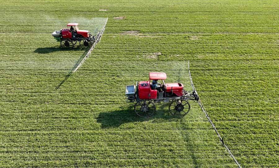 Бочжоу, Анхой: Ертемен ег?с ж?мысына к?р?скен фермерлер