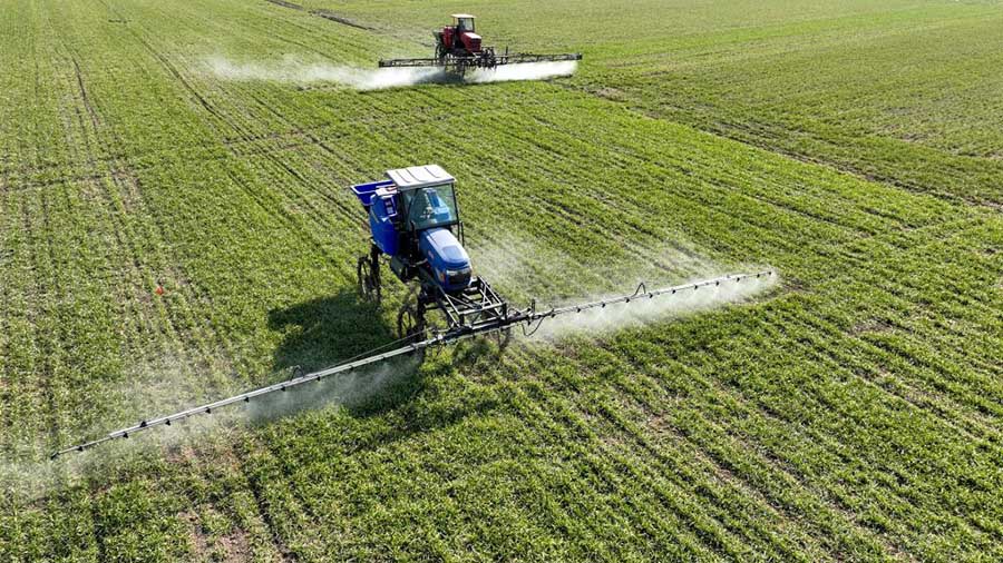 Бочжоу, Анхой: Ертемен ег?с ж?мысына к?р?скен фермерлер