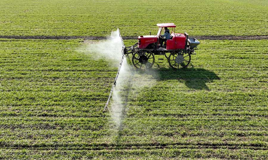 Бочжоу, Анхой: Ертемен ег?с ж?мысына к?р?скен фермерлер