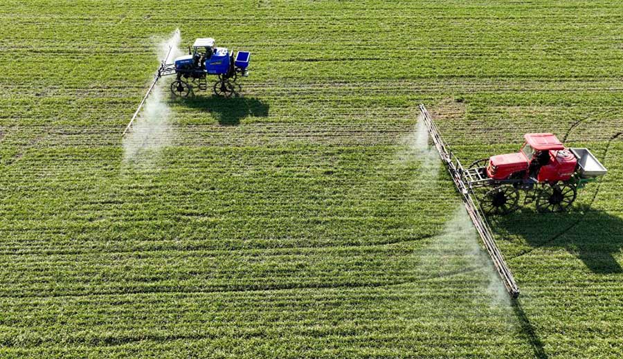 Бочжоу, Анхой: Ертемен ег?с ж?мысына к?р?скен фермерлер