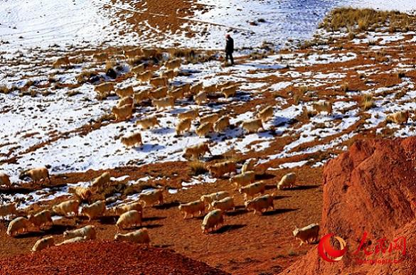 Ганьсу ?лкес? Чжанье ?аласы ма?ында?ы ?арлы даланы? к?ктемг? шаруашылы?ы