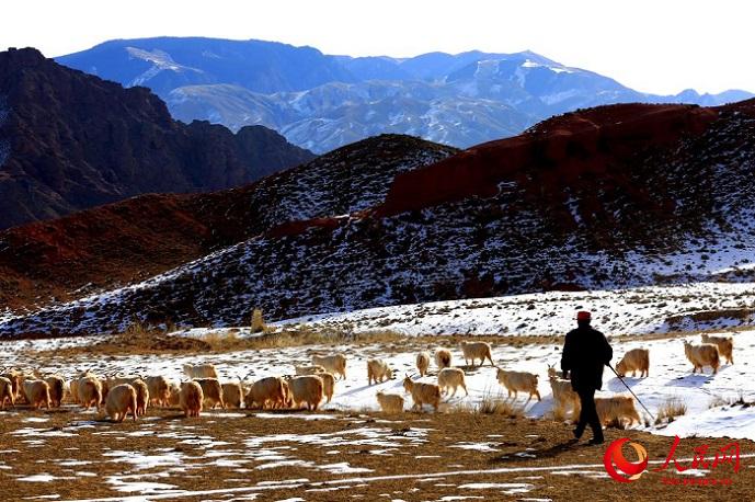 Ганьсу ?лкес? Чжанье ?аласы ма?ында?ы ?арлы даланы? к?ктемг? шаруашылы?ы