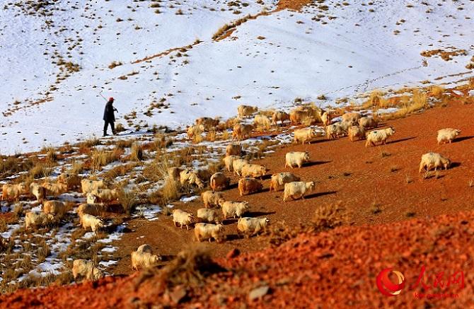 Ганьсу ?лкес? Чжанье ?аласы ма?ында?ы ?арлы даланы? к?ктемг? шаруашылы?ы