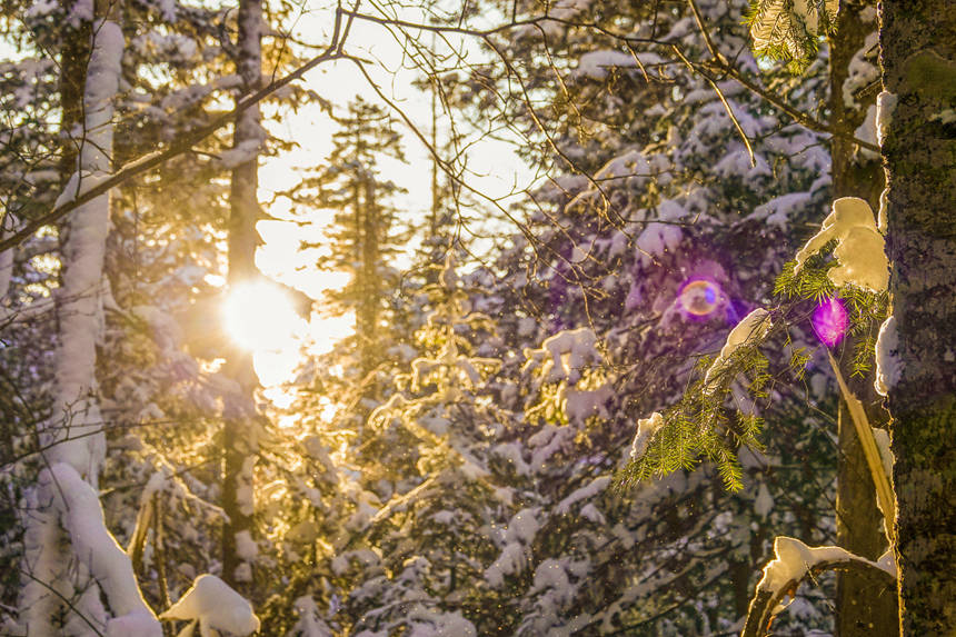 Цзилиньде ?ар-м?з туризм? ?ызу жал?асып жатыр