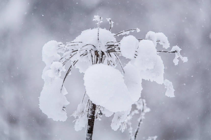 Цзилиньде ?ар-м?з туризм? ?ызу жал?асып жатыр