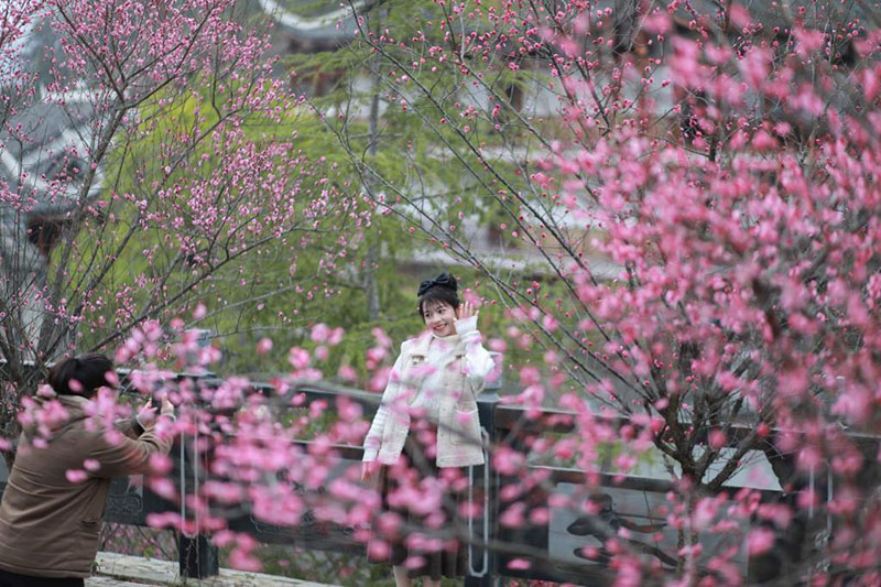 К?ктем кел?п г?лдер б?рш?к жара бастады