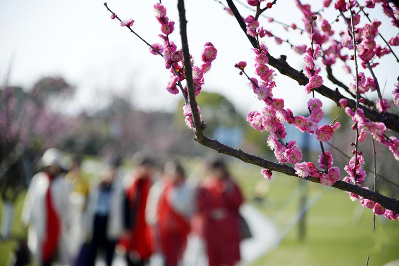 К?ктем кел?п г?лдер б?рш?к жара бастады