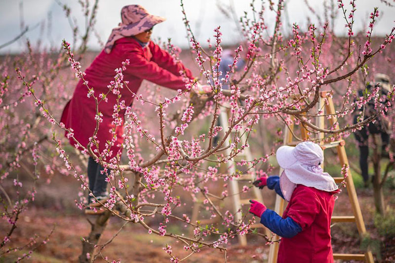 К?ктем кел?п г?лдер б?рш?к жара бастады