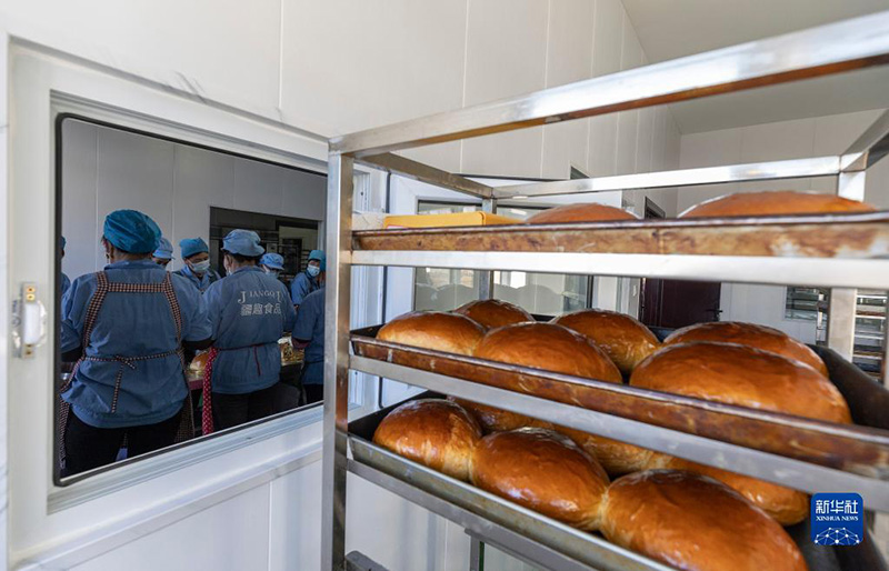 Ш?уешек ?р?мш?к к?лшес?: к?п?лтты та?ам ерекшел?ктер?н б?р?кт?рет?н Шы?жа? та?амы