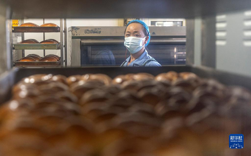 Ш?уешек ?р?мш?к к?лшес?: к?п?лтты та?ам ерекшел?ктер?н б?р?кт?рет?н Шы?жа? та?амы