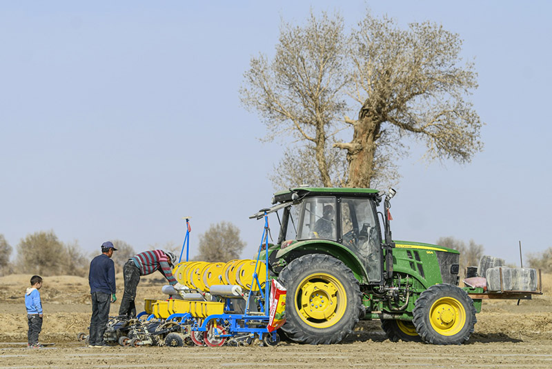 ?ытай ма?та ?нд?р?с?н?? нег?зг? аума?ында к?ктемг? ег?с басталды