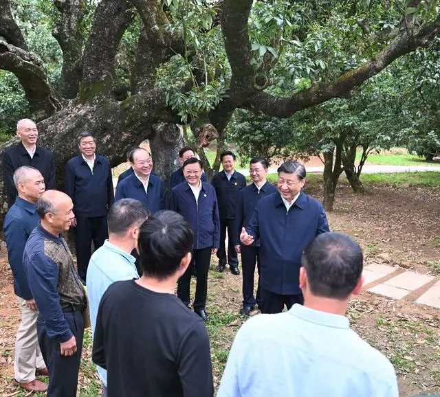 Си Цзиньпин Гуандун ?лкес?н?? Маомин ?аласында ?ызметт?к тексеру-зерттеу ж?рг?зд?