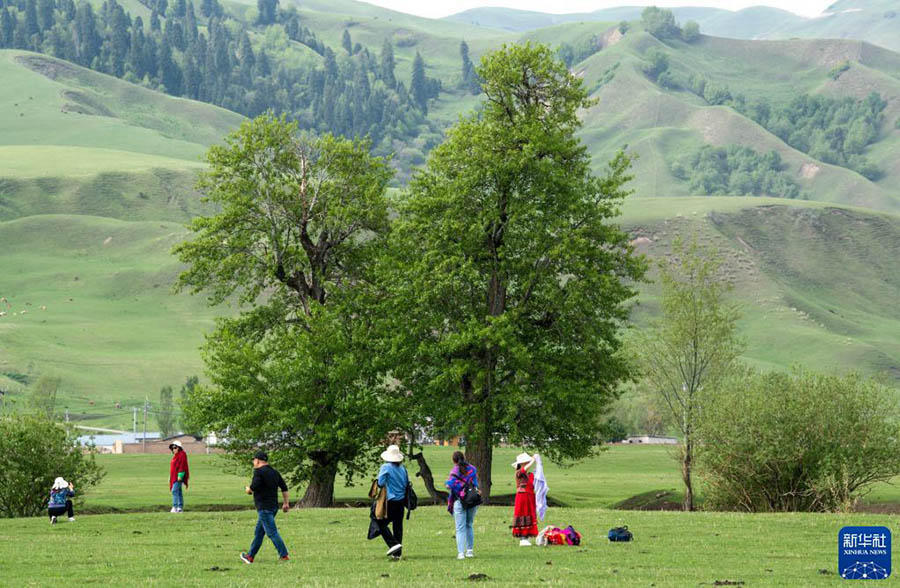 Шы?жа?да?ы Нарат сахарасы к?ркем келбет?мен туристерд? баурады
