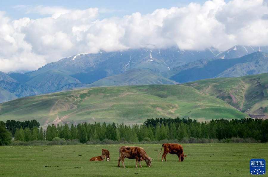 Шы?жа?да?ы Нарат сахарасы к?ркем келбет?мен туристерд? баурады