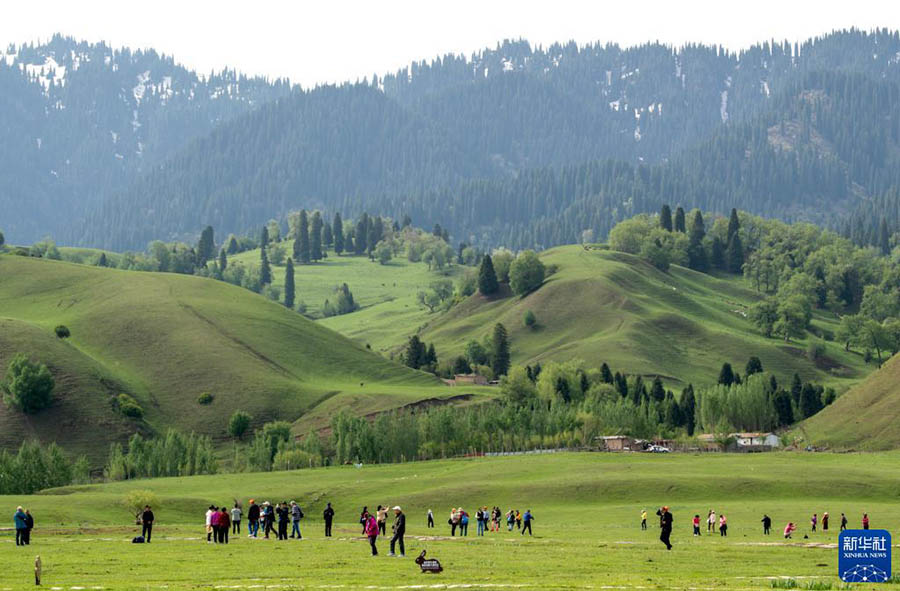Шы?жа?да?ы Нарат сахарасы к?ркем келбет?мен туристерд? баурады