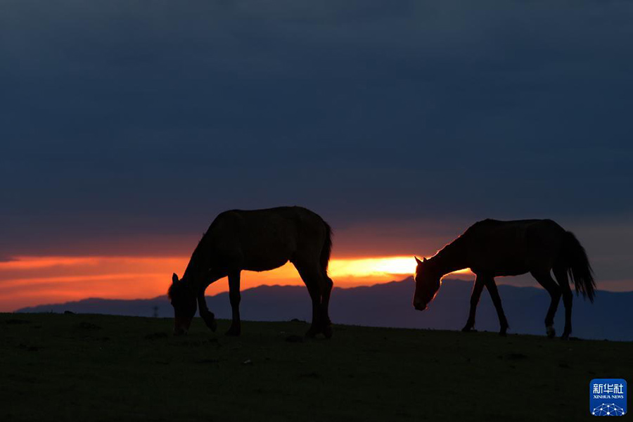 Шы?жа?да?ы Нарат сахарасы к?ркем келбет?мен туристерд? баурады