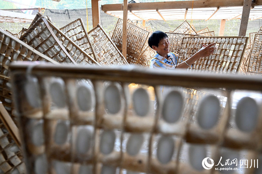 Нейцзян, Сычуань: Ж?бек ??рты ?нд?р?с? фермерлерд?? к?р?с?н арттырды