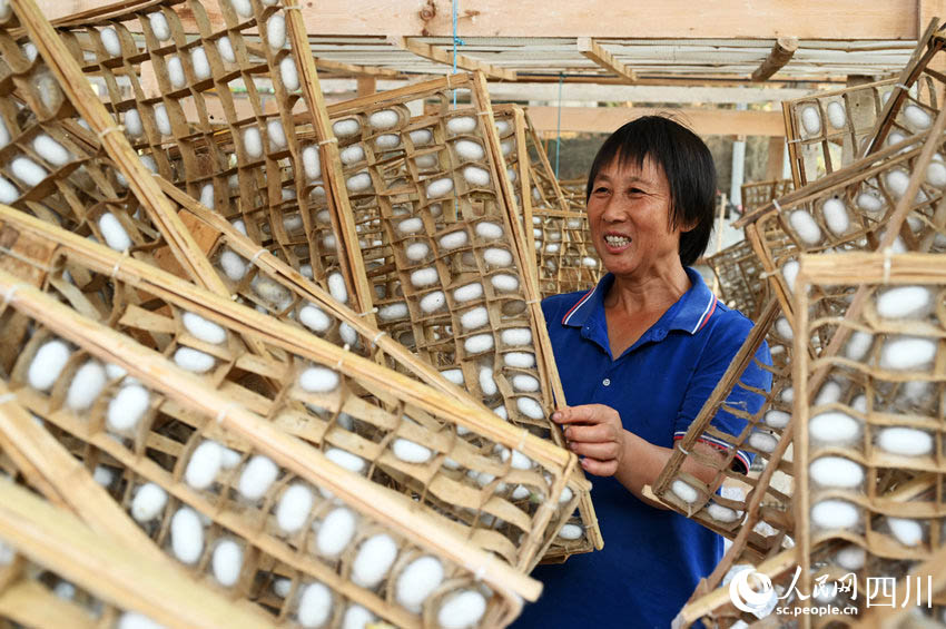 Нейцзян, Сычуань: Ж?бек ??рты ?нд?р?с? фермерлерд?? к?р?с?н арттырды