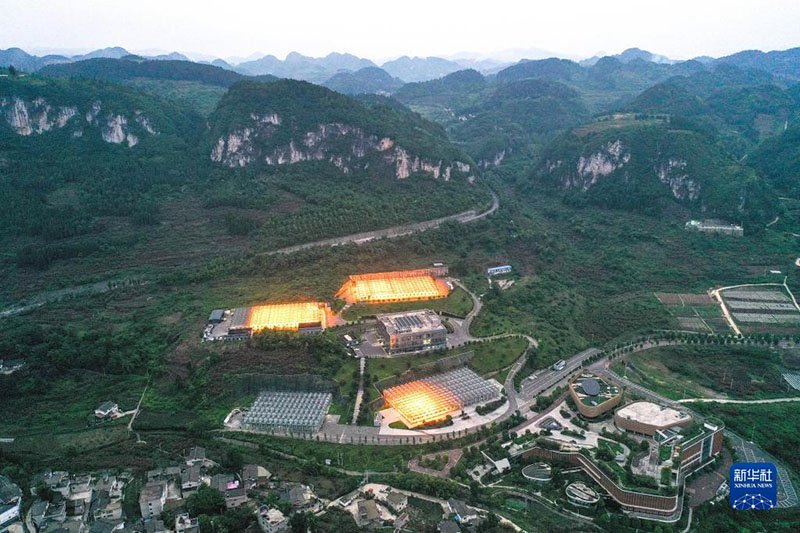 Толы?тыр?ыш жары? к?шеттерд?? ?су?не к?б?рек ы?пал етед? ж?не к?шеттерд?? ?су?н шапша?датады