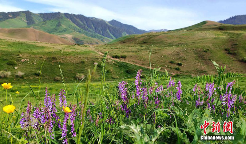 Шы?жа?ны? ?йс?н тауы баурайында?ы к?ркем к?р?н?с туристерд? та?-тамаша етт?