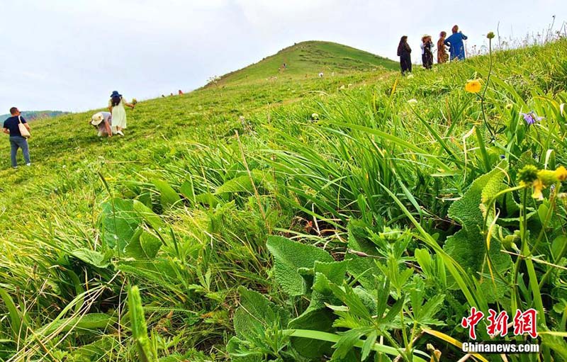 Шы?жа?ны? ?йс?н тауы баурайында?ы к?ркем к?р?н?с туристерд? та?-тамаша етт?