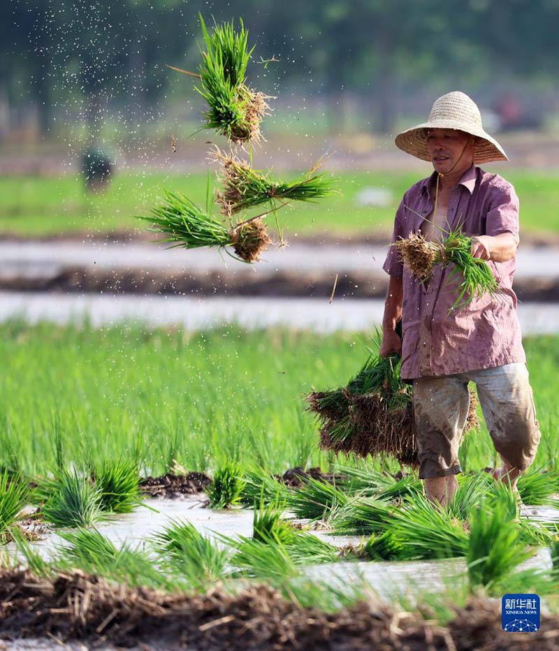 Атыз басында?ы ?арбалас дихандар