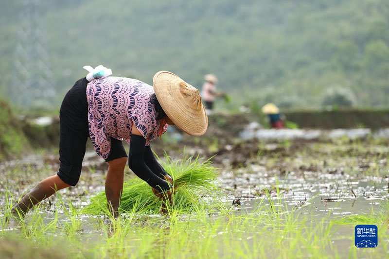 Атыз басында?ы ?арбалас дихандар