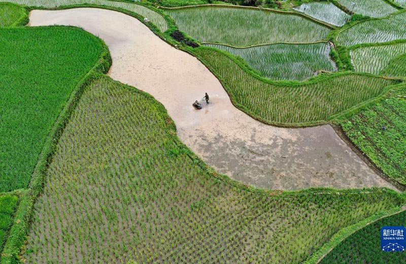 Атыз басында?ы ?арбалас дихандар