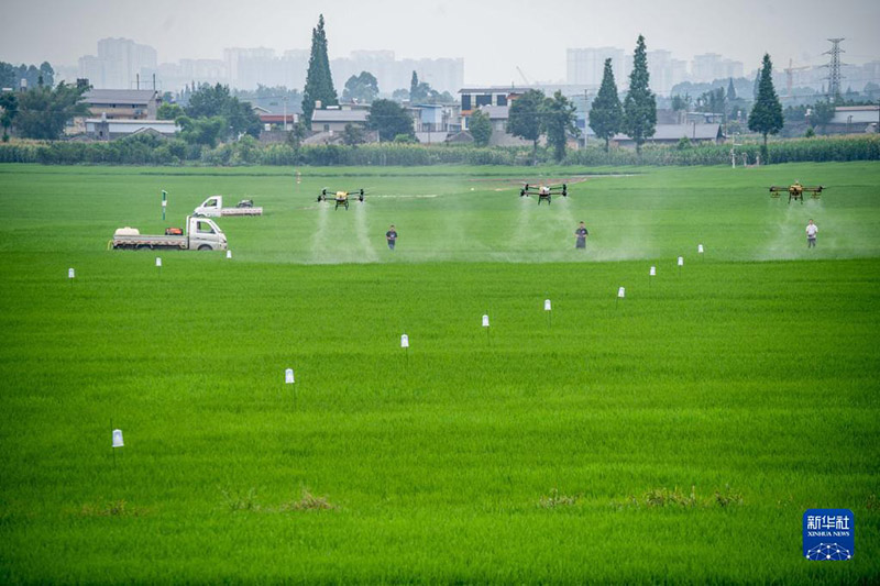 Атыз басында?ы ?арбалас дихандар
