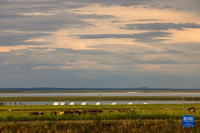 К?ркем келбетт? Хулунбуир сахарасы