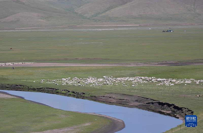 К?ркем келбетт? Хулунбуир сахарасы