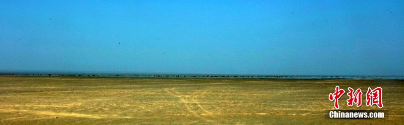 Шы?жа?да?ы П?ш?н ауданында са?ым пайда болды