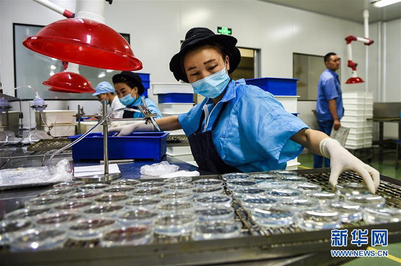 Цзянсу ?лкес?н?? Даньян ?аласы - к?з?лд?р?к ?нерк?с?б?н?? астанасы