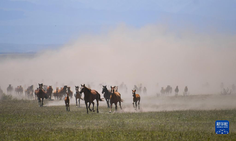 ?Т?мен т?лпар тула?ан? Шы?жа?ны? Мо???лк?ре ауданы