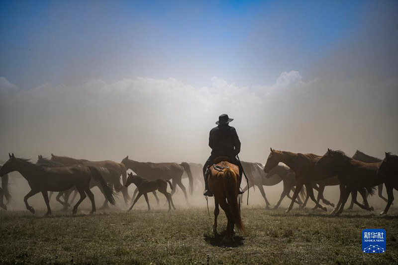 ?Т?мен т?лпар тула?ан? Шы?жа?ны? Мо???лк?ре ауданы