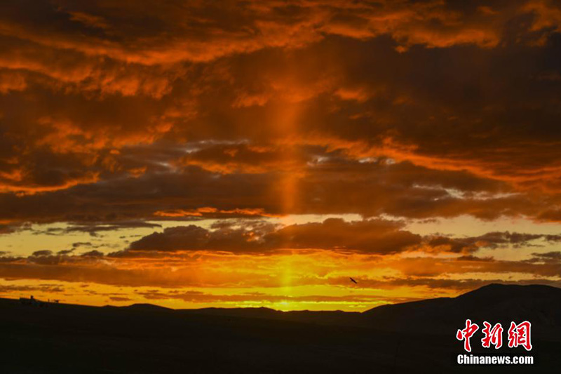 Солт?ст?к Тибетт?? тылсым таби?аты