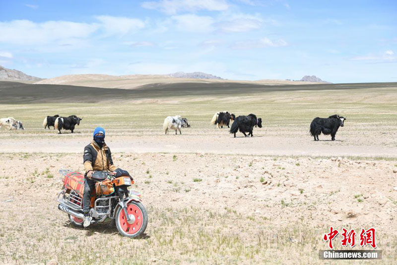 Солт?ст?к Тибетт?? тылсым таби?аты