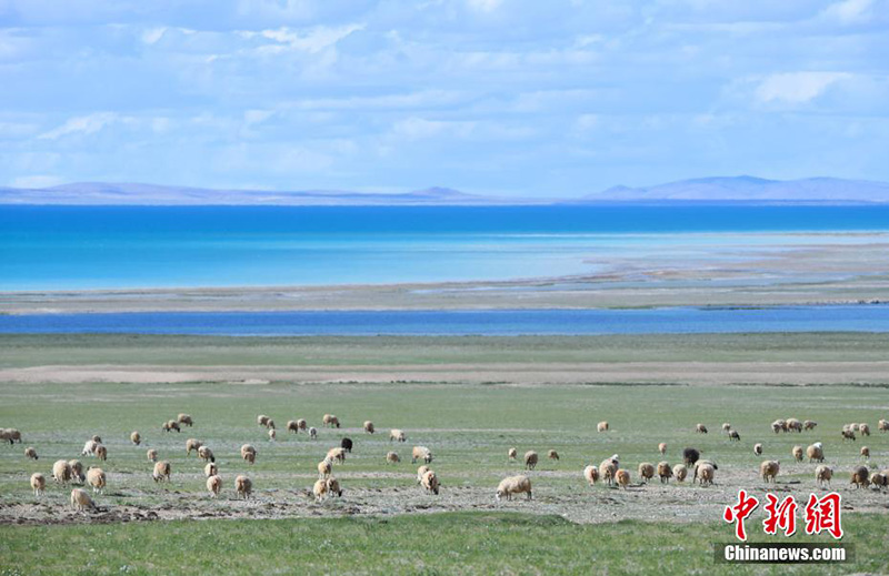 Солт?ст?к Тибетт?? тылсым таби?аты
