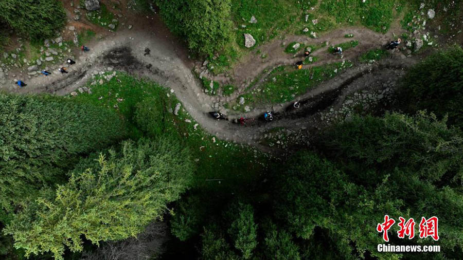 Шы?жа? Мо???лк?ре ауданы Шаты шат?алы: Ашы? аспан, жасыл жайлау, к?к к?лем