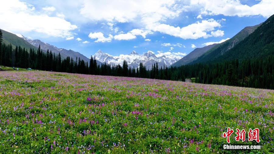 Шы?жа? Мо???лк?ре ауданы Шаты шат?алы: Ашы? аспан, жасыл жайлау, к?к к?лем