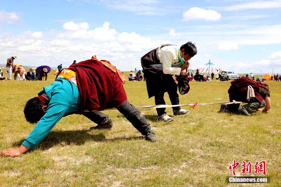 Цинхайда ?Т?лпар мекен?? ?лтты? м?дени ?с-шарасы басталды