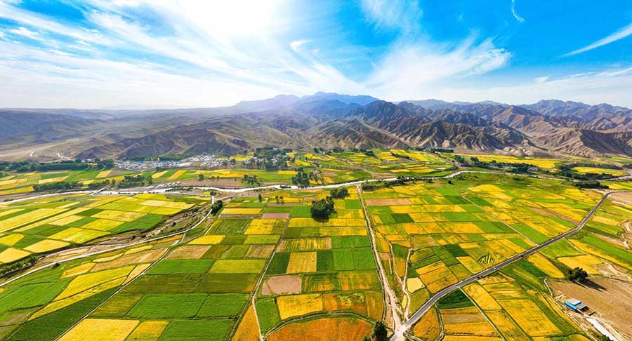 Сунань, Ганьсу: Цилиан тауыны? баурайында?ы бидай атызы