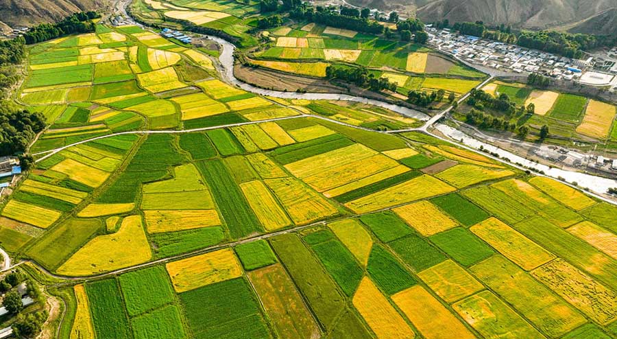 Сунань, Ганьсу: Цилиан тауыны? баурайында?ы бидай атызы