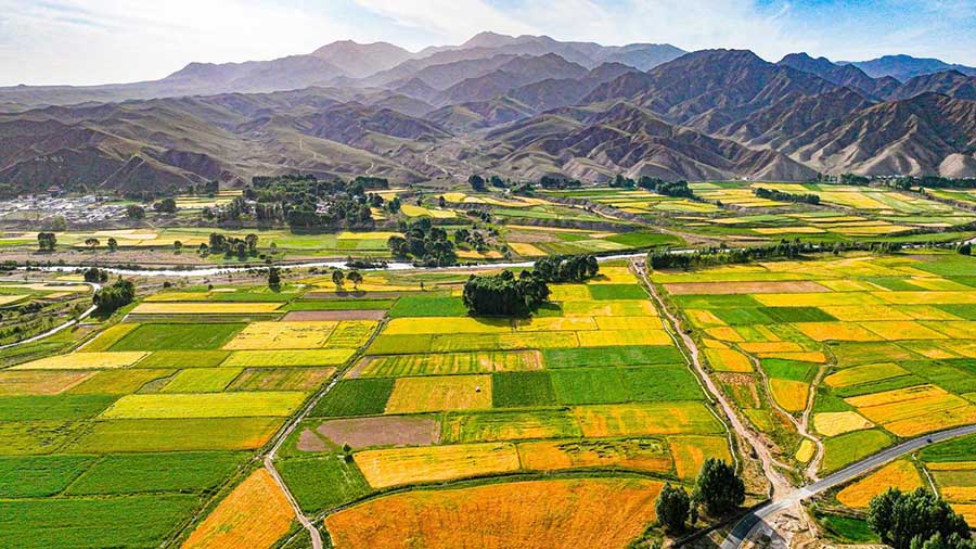 Сунань, Ганьсу: Цилиан тауыны? баурайында?ы бидай атызы