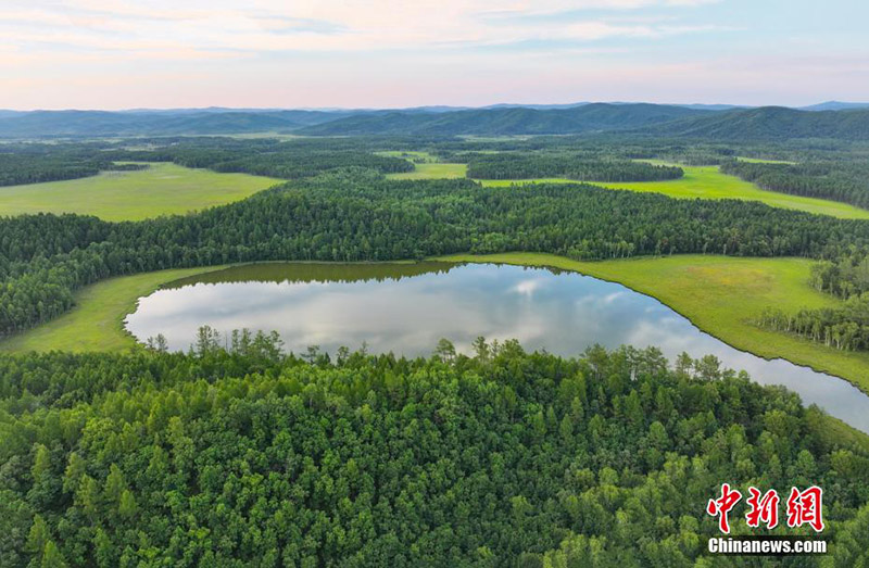 ?шк? Мо???лды? ?лкен Хынган тауы орман аума?ыны? жаз?ы к?р?н?с?